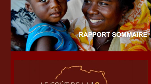 Rapport Sommaire