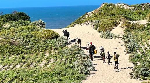 UN News/Daniel Dickinson Communities in southern Madagascar are planting sisal to protect the land from erosion and degradation.