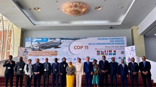 COP 11